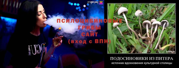 твердый Армянск