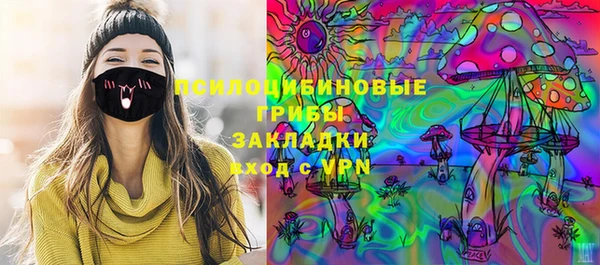 СК Алексин