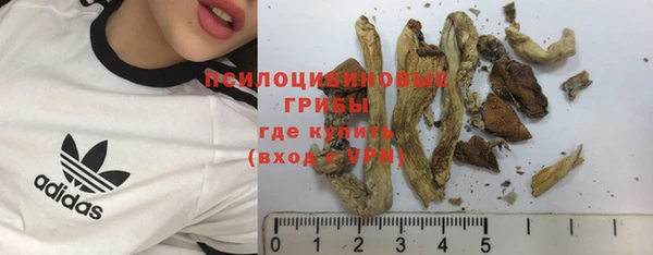 твердый Армянск
