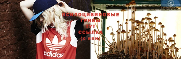 МДПВ Аркадак