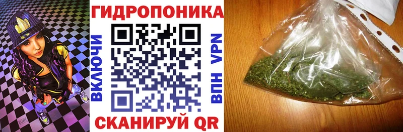 Конопля сатива  Острогожск 